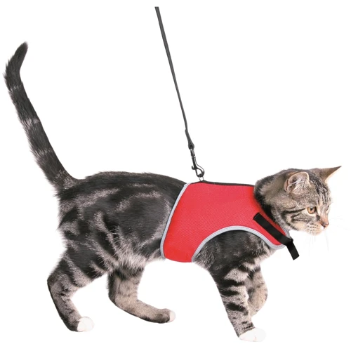 

Поводок+шлея Trixie XCat для кошек 24-42 см, нейлон красный (4011905418964)