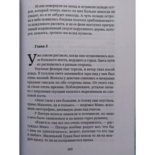 Уолтер Меккін: Вітер обіцяє бурю: Кількість сторінок 440