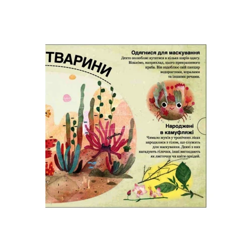 Павла Ганачкова: Хто ховається между листя й у воде? фото 8