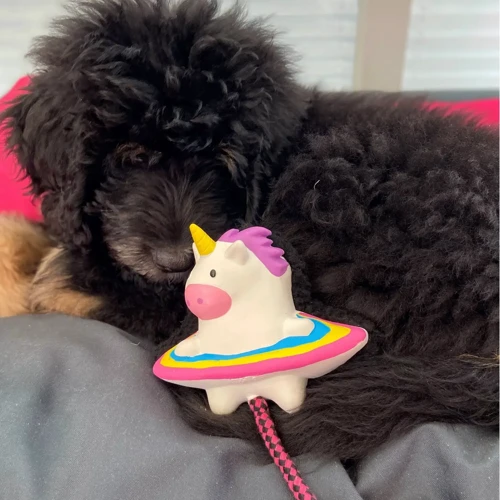 Игрушка для собак Max & Molly Snuggles Toy Magic Mikey (4894512025806) фото 2