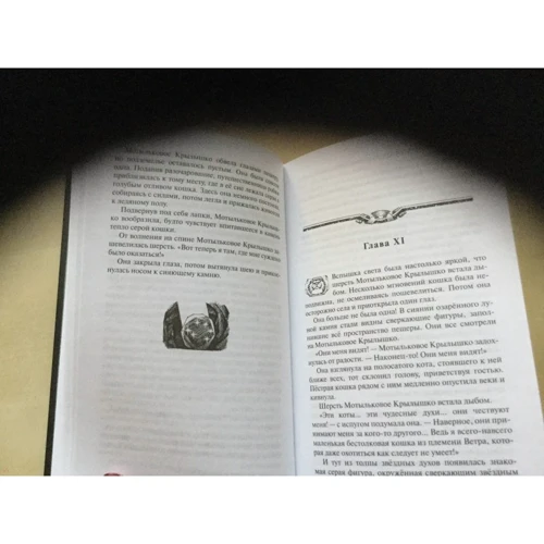 Эрин Хантер: Коты-воители. Сны и видения Бабочки. Беглянка: Автор Эрин Хантер