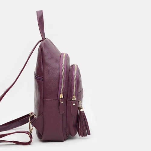 Женский рюкзак Borsa Leather фиолетовый (K11032v-violet): Тип Рюкзаки