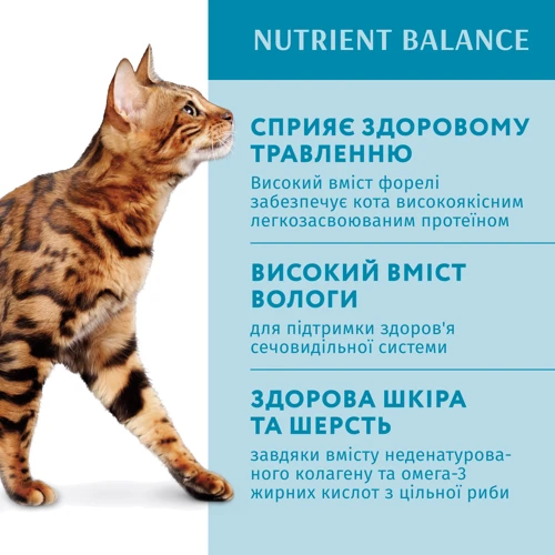 Вологий корм Optimeal Adult cats для дорослих кішок з фореллю в кремовому соусі 12х85 г (4820215365864): Вік Взрослые