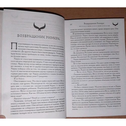 Сірі Петтерсен: Нащадок Одіна: Кількість сторінок 576