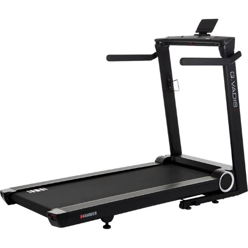 Беговая дорожка Hammer Q. Vadis 5.0 (5161): Дисплей LCD