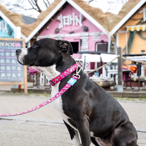 Ошейник Max & Molly Urban Pets Smart ID Collar - Magical/S с принтом Магии (4894512052680): Цвет рисунок