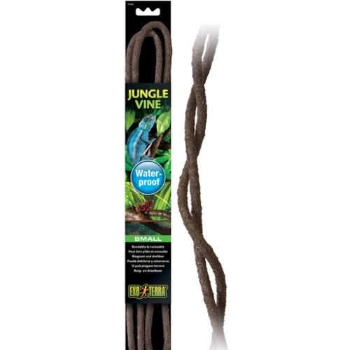 Растение Hagen Jungle Vine Small (015561230858)