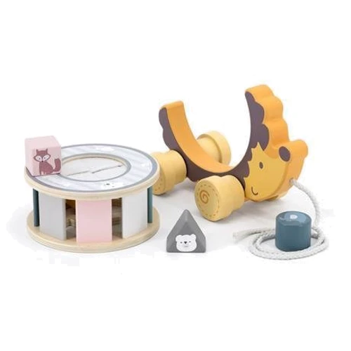 Дерев'яна каталка-сортер Viga Toys PolarB Їжачок (44025)