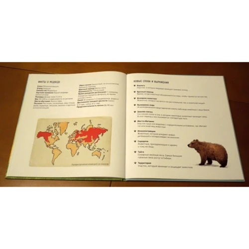 Животные в природе. Медведь: ISBN 978-5-00100-465-3