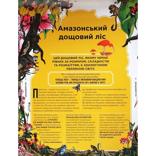 Диво-сад: Жанр Інші види мистецтва