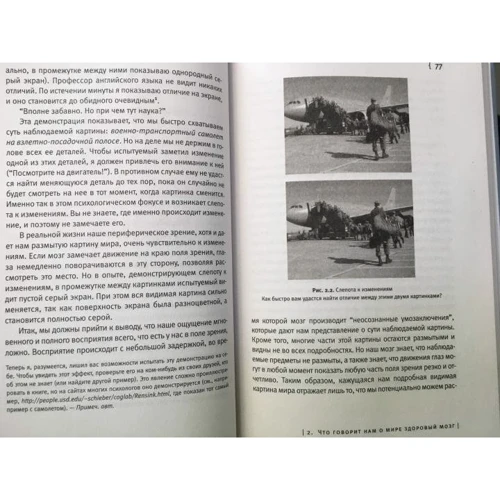 Крис Фрит: Мозг и душа: Автор Крис Фрит