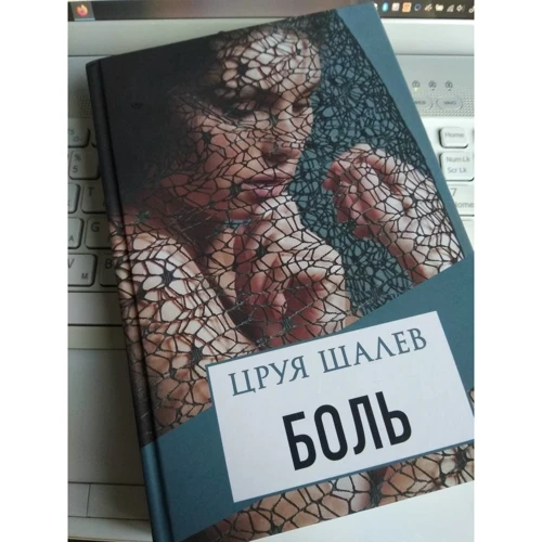 Цруя Шалев: Боль: Количество страниц 368