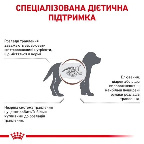 Сухой корм для щенков Royal Canin Gastro Intestinal Junior Canine при нарушениях пищеварения 2.5 кг (39570251): Порода Все породы