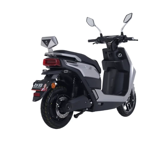 Электроскутер TAILG Tiger Grey Gloss: Допустимая нагрузка, кг 180
