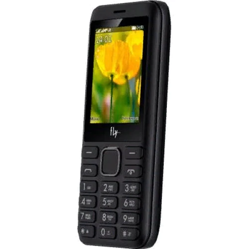 Мобильный телефон Fly FF249 Dual Sim Black-Grey (UA UCRF): Встроенная память 32 МБ