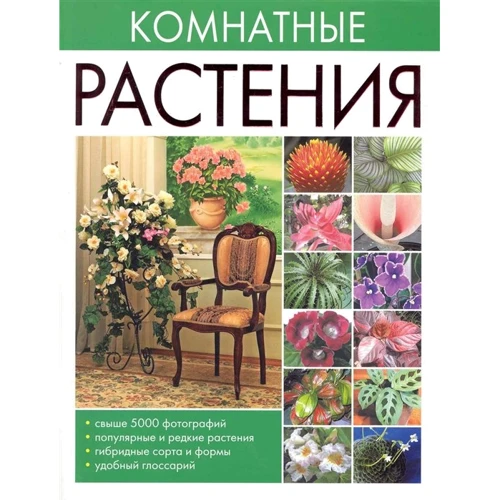 О.Сладкова: Комнатные растения