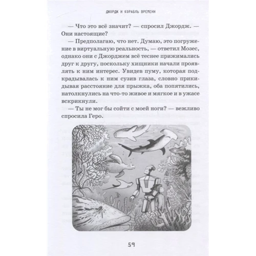 Люси Хокинг: Джордж и корабль времени: Количество страниц 416