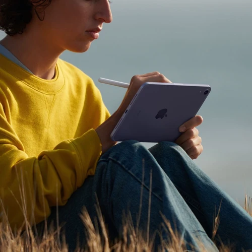 Планшет Apple iPad mini 6 8.3" 2021 Wi-Fi + LTE 256GB Pink (MLX93RK/A): Вес, г 297
