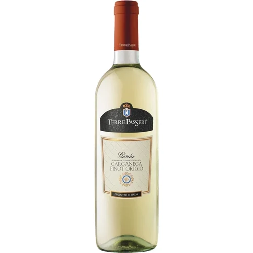 Вино Terre Passeri Pinot Grigio Garganega DOC біле сухе 0.75 л (YL8000013024644)