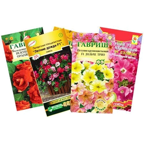 Насіння квітів