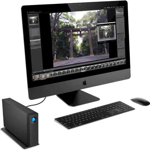 Внешний жесткий диск LaCie d2 Professional 16 TB (STHA16000800): Внешний интерфейс USB Type-C