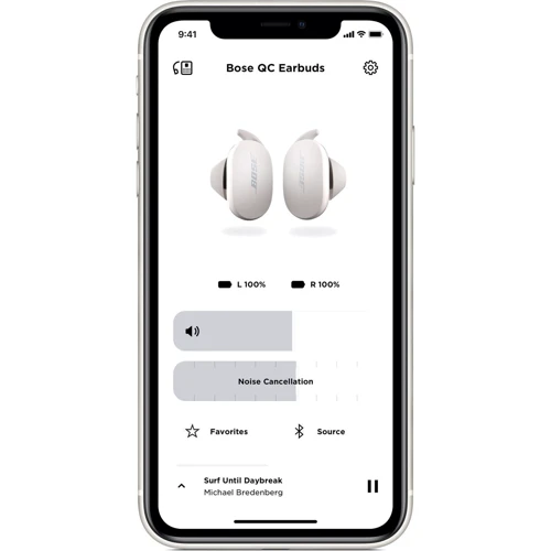 Наушники Bose QuietComfort Earbuds Soapstone (831262-0020): Тип излучателя динамический