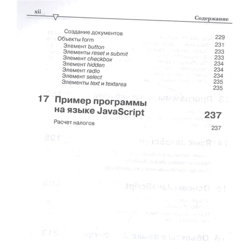 Питер Вейнер: Программирование JAVA и JAVASCRIPT: Производитель Лори
