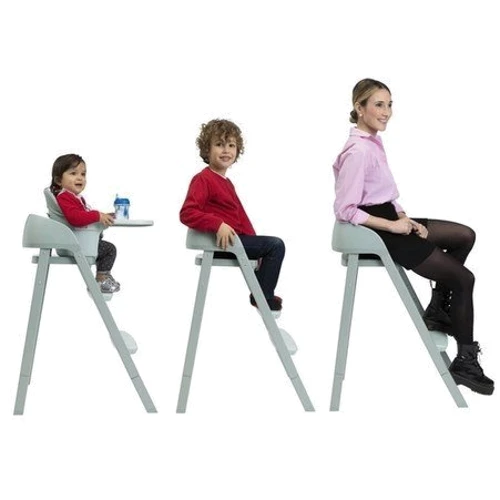 Стульчик для кормления 3 в 1 Chicco Crescendo Up мятный (8058664126606): Тип классический стульчик