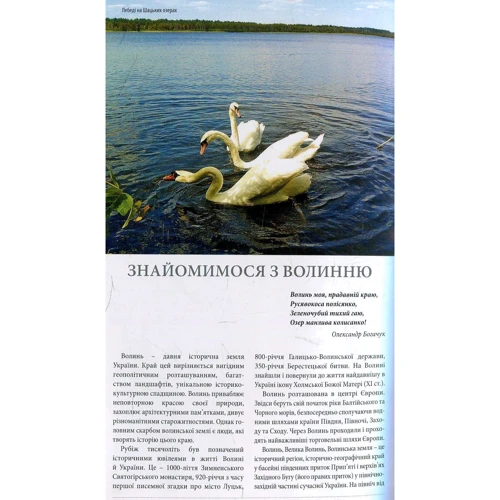 Петро Троневич, Оксана Карлина: Прогулянка Волинню та Луцьком. Путівник: ISBN 978-966-8137-95-2