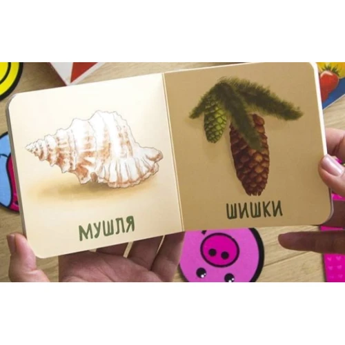 Мої перші слова. Природа: Обложка Картон