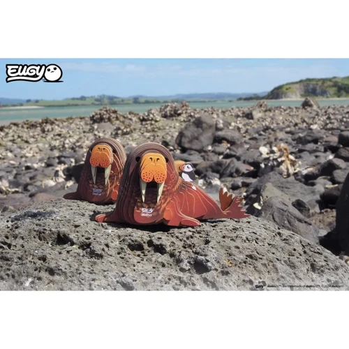 Сборная 3D модель Eugy Зоопарк: Морж (XEG-107)