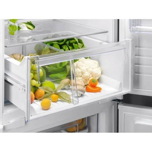 Встраиваемый холодильник ELECTROLUX RNT6TE19S0: Класс энергопотребления A++