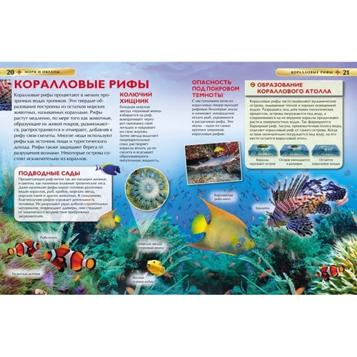 Моря и океаны. Детская энциклопедия: Обложка Твердая