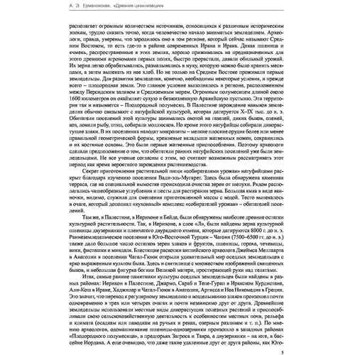 Анна Ермановская: Загадки истории. Древние цивилизации: Количество страниц 384