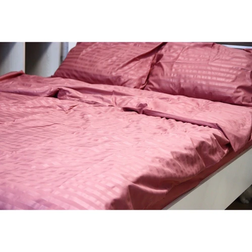 Комплект постельного белья LightHouse Mf Stripe Pudra страйп-микрофибра полуторный (2200000604989): Размер простыни, см 160x215