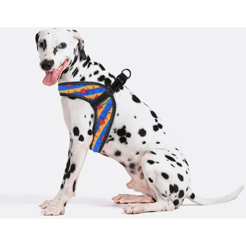 Шлея HiDog Comfort Жизнь 54-60 см XL разноцветная фото 3