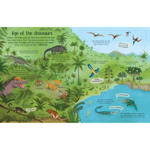 See Inside: Evolution: Производитель Usborne Publishing Ltd