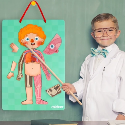 Магнітне тіло людини MiDeer MD2031