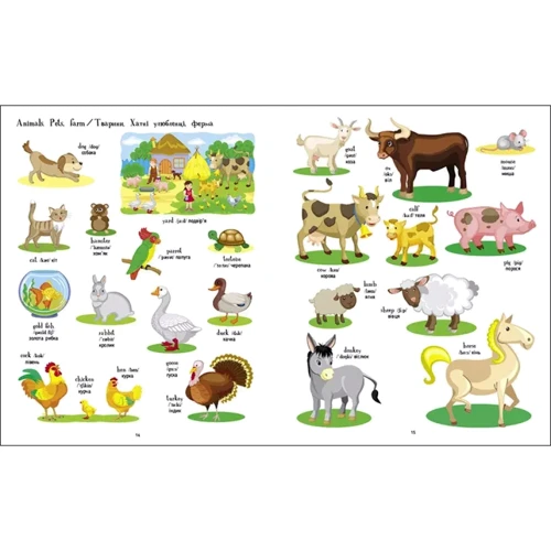 English for kids. Книжка англійських слів у малюнках: Количество страниц 46
