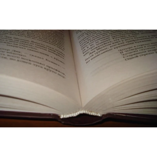 Комплект книг Світова класика: Дванадцять стільців + Портрет Доріана Грея + Великий Гетсбі + Вечори на хуторі біля Диканьки + Вишневий сад + Доктор Живаго + Фауст + Дракула + Острів Скарбів + Мартін І фото 50