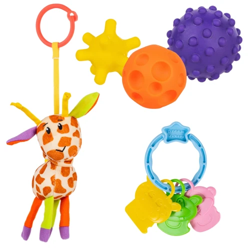 Набор развивающих игрушек Fancy Baby Моя первая игрушка (SET6)