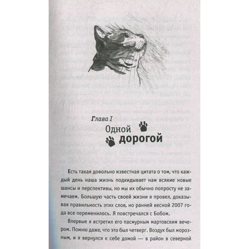 Джеймс Боуен: Боб - незвичайний кіт: Виробник Рипол Класик