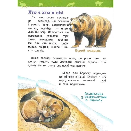 У лісі. Моя перша енциклопедія: Обложка Твердая