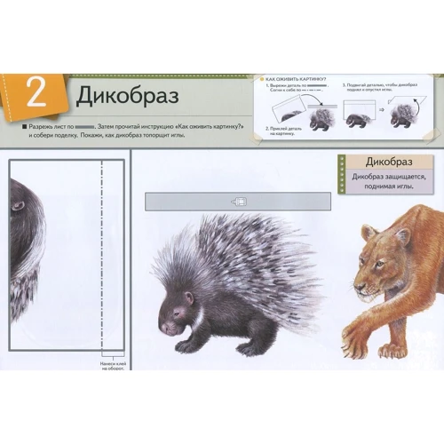 KUMON. Оживи картинку! Животные: Обложка Мягкая