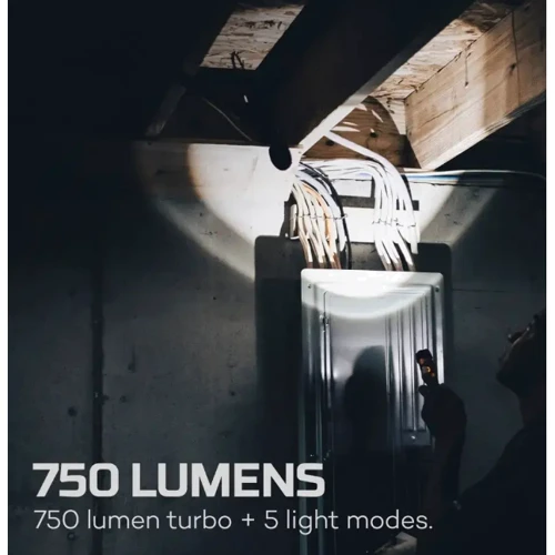 Ліхтар туристичний Nebo Master Series FL 750 (NB NEB-FLT-1018-G): Світловий потік, лм 750