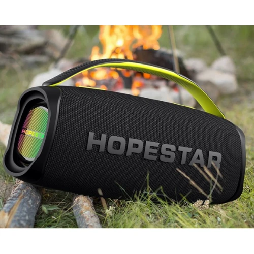 Акустика Hopestar A40 Black: Тип портативная