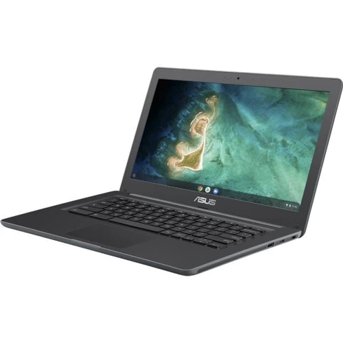 Ноутбук ASUS Chromebook C403N (C403NA-FQ0062): Тип экрана матовый