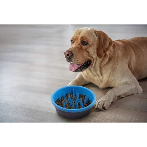 Миска силиконовая Dexas Silicone Slow Feed Bowl для медленного кормления для собак 1.44 л темно-серая/голубая (PW301-432-2194): Материал Пластик, Силикон