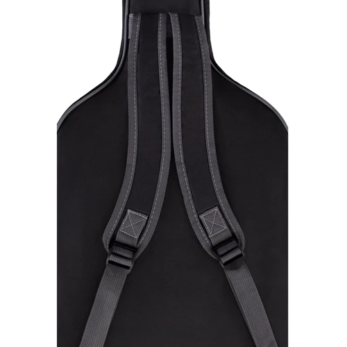 Акустична гітара Alfabeto SPRUCE WS41 (Satin) + чохол: Розмір Полноразмерная
