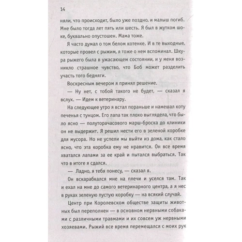 Джеймс Боуен: Боб - незвичайний кіт: Жанр Сучасна проза